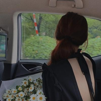 龙棺古墓：西夏狼王